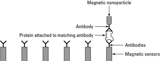 Functionalized Iron Oxide Nanoparticles as Disease