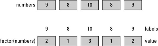 How to Convert a Factor in R dummies
