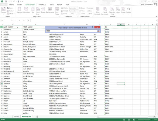 Excel 2013 Using the Print Titles Feature dummies
