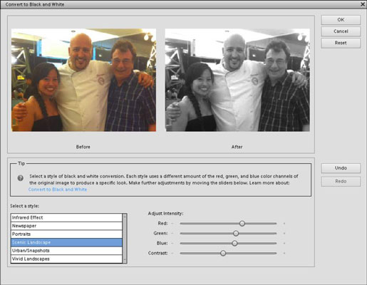 Convert Images to Grayscale Mode in Elements 12