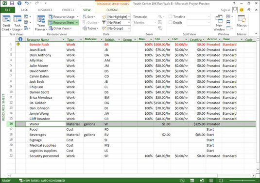 How to Enter Hourly, Overtime, and CostPerUse Rates in Project 2013
