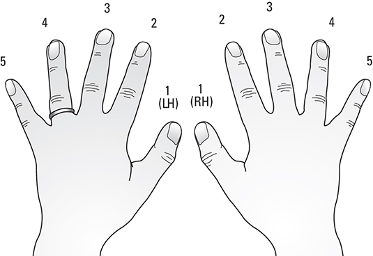 Using the Right and Left Hands to Play Piano - dummies