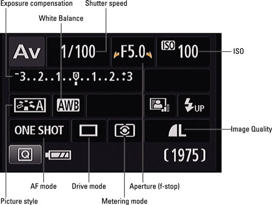 How to Take Still Portraits with the Canon Rebel T/51200D dummies