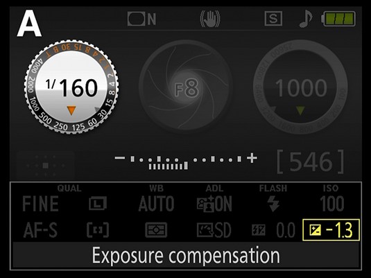 Applying Exposure Compensation on Your Nikon D3500 dummies
