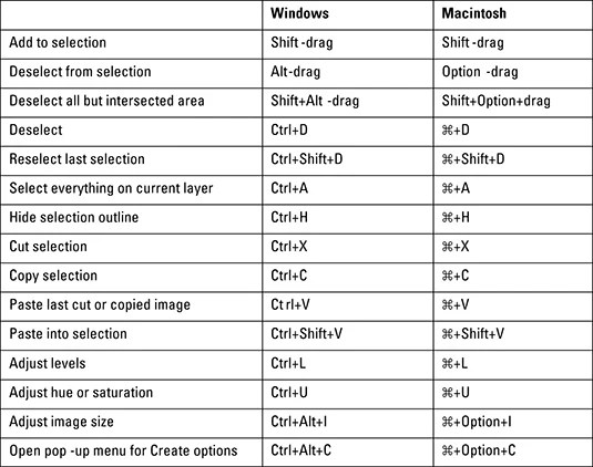 Adobe Illustrator Notes [PDF Document]