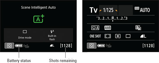 Display Options for the Canon EOS Rebel T7i/800D Settings - dummies