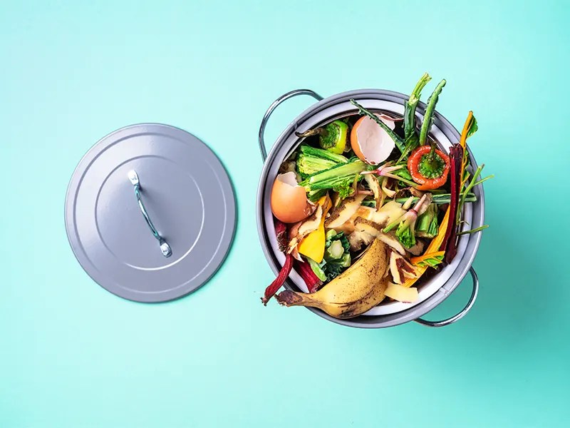 Emptying Garbage Disposal Don't Let It Overflow