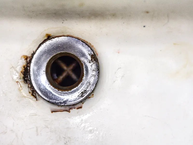 Clean Your Garbage Disposal Splash Guard Like a Pro!