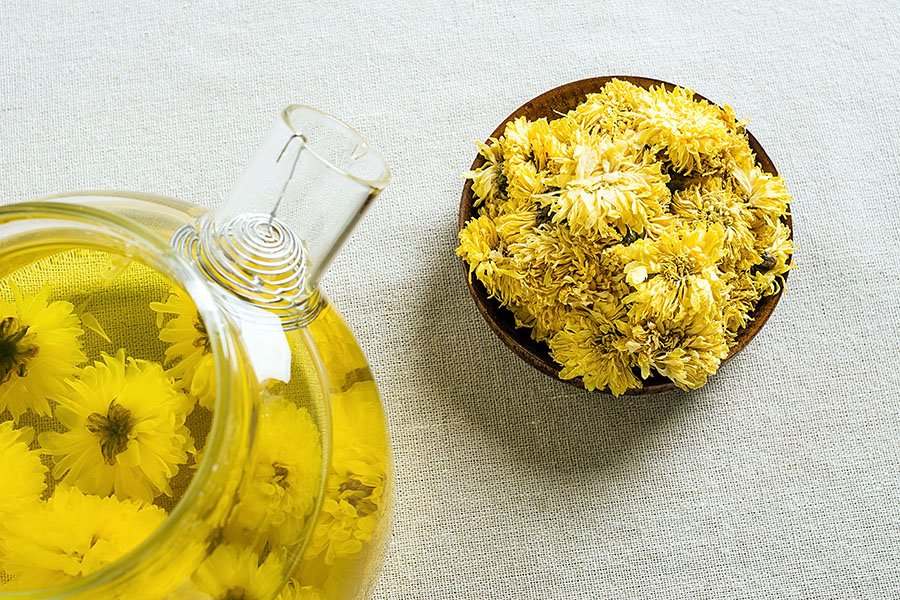 Chrysanthemum Herbal Tea Recipe Dumpling Connection