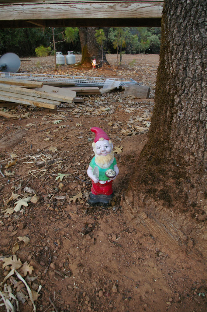 Garden Gnomes