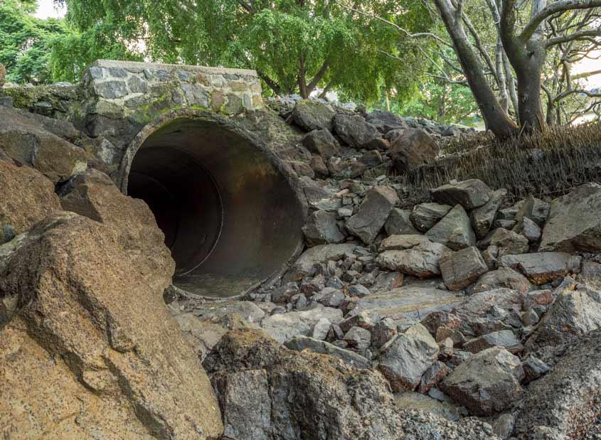 Effects of a Clogged Storm Drain and Possible Solutions Duncan Plumbing