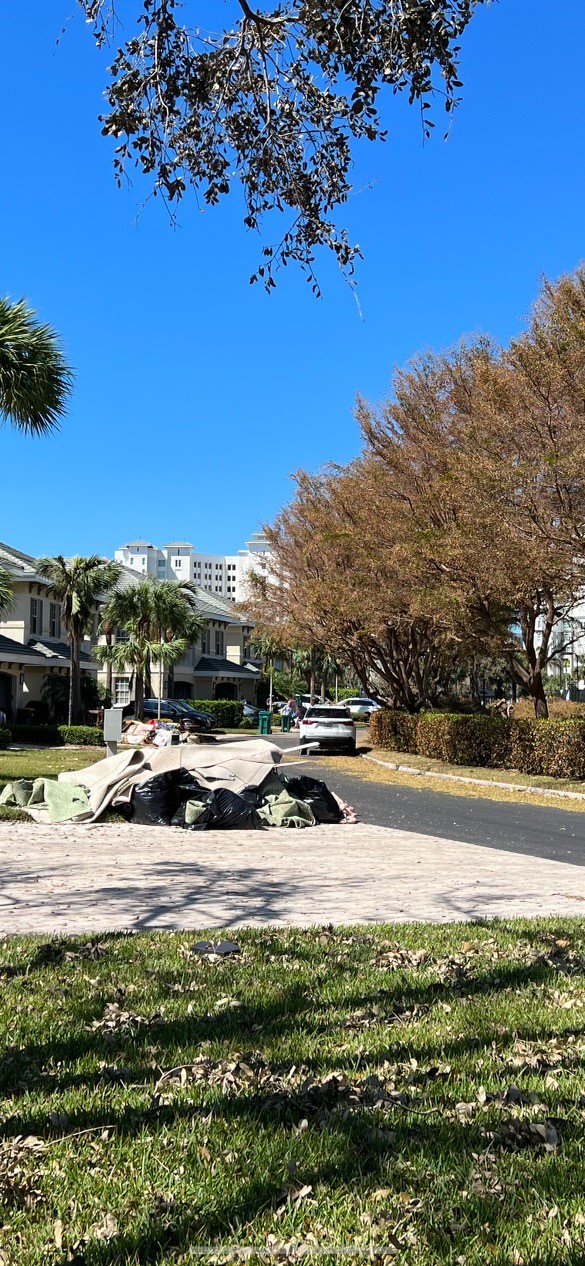 Dunes of Naples Hurricane Ian Sea Grove Pictures