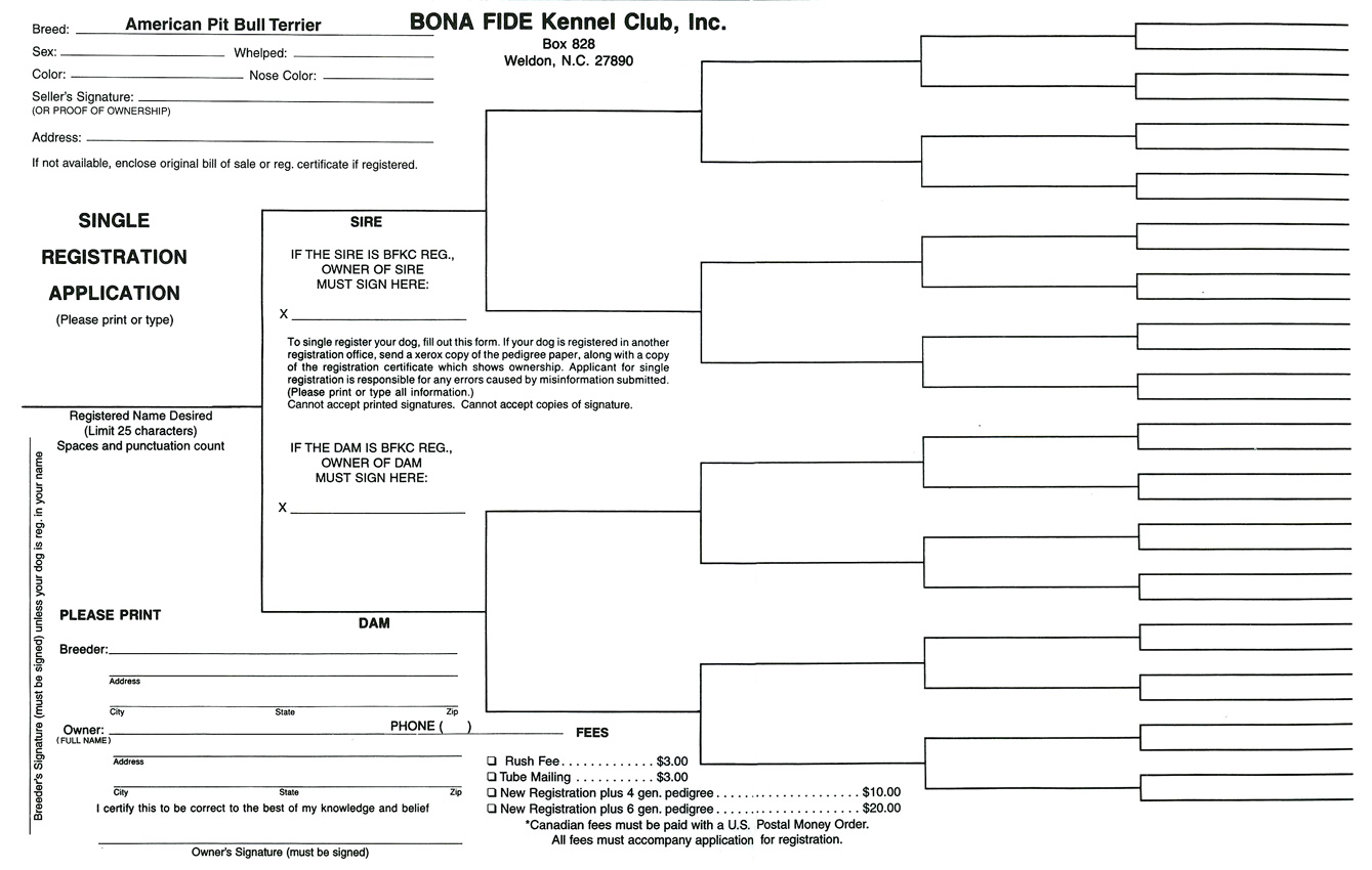 BFKC BINA FIDE KENNEL CLUB AMERICAN PIT BULL TERRIER