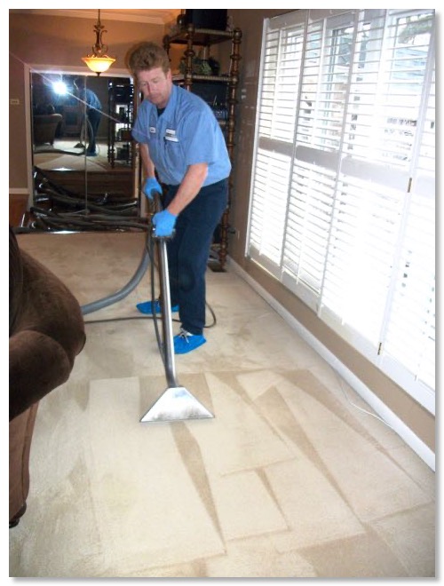 Carpet Cleaning oak park Carpet Cleaning Westchester Carpet