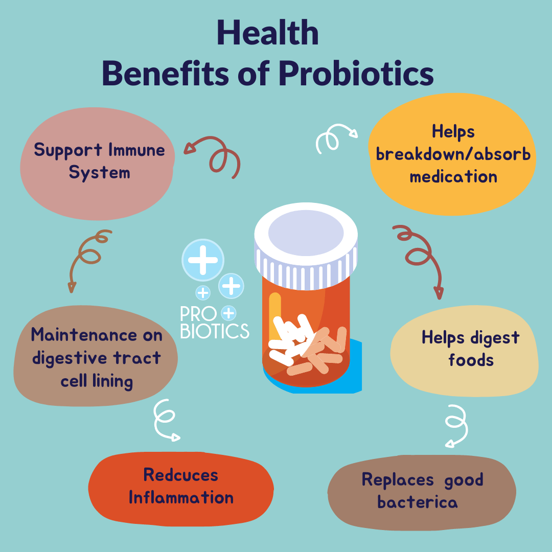 Introduction to Probiotics Adrian Dunne Pharmacy