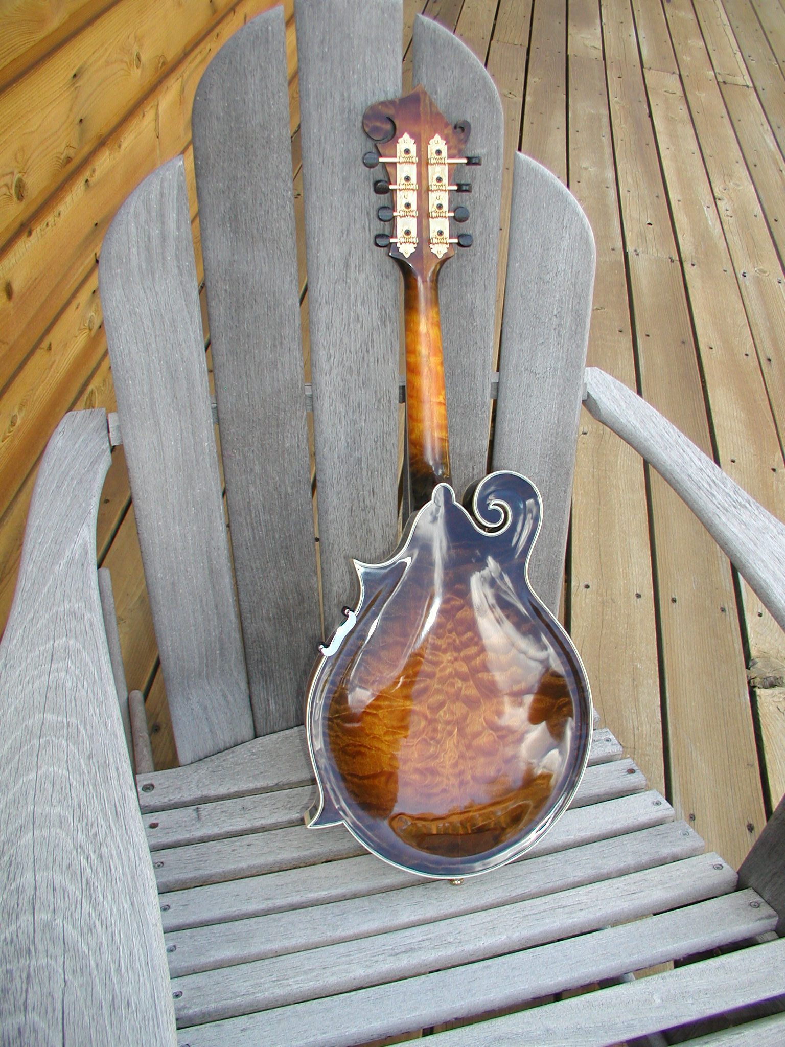 Build Mandolin 20