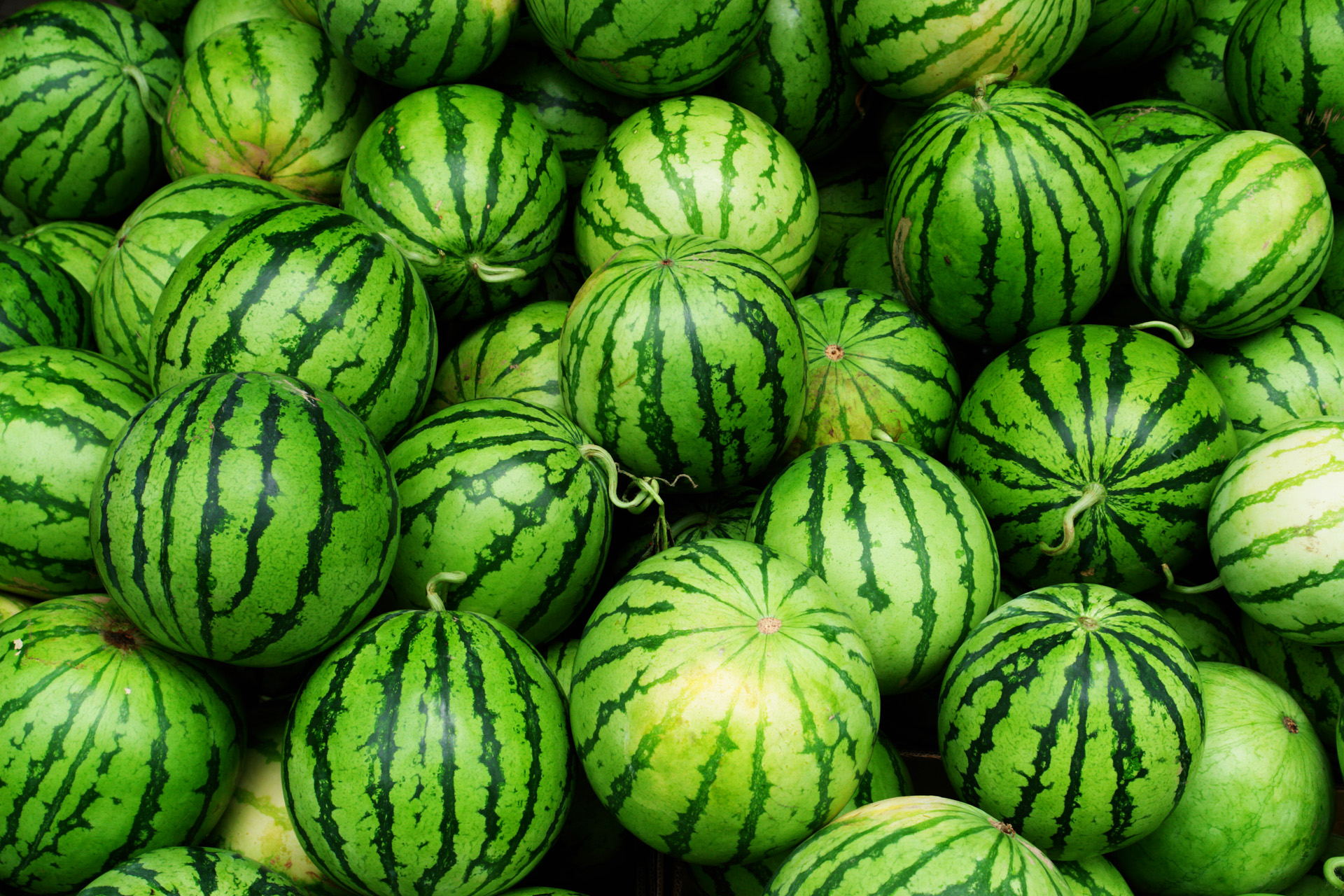 Watermelons Dupré Logistics