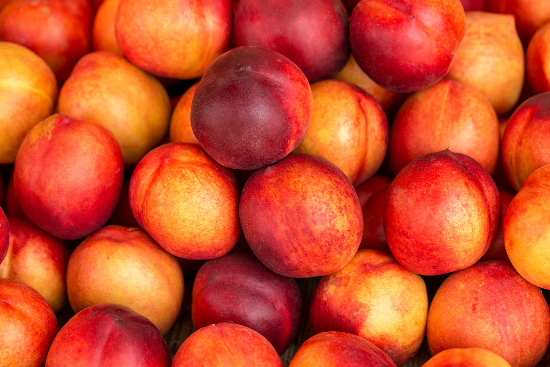 Nectarines During Pregnancy 2Nd Trimester at Mark Jeter blog
