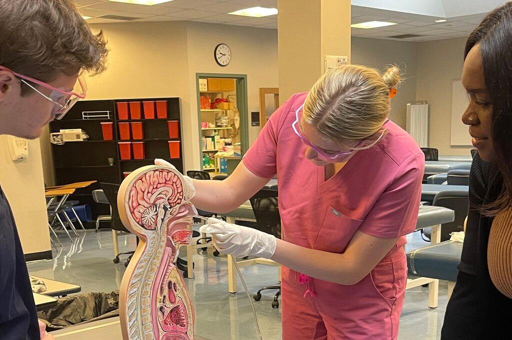 Physician Assistant Studies
