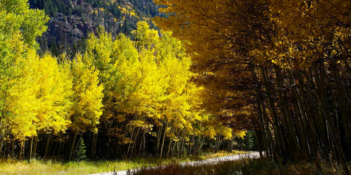 Durango Fall Planning Guide