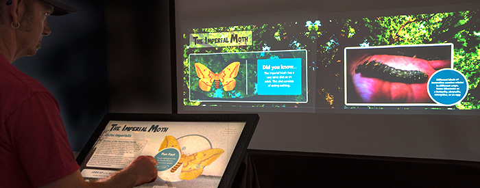 Interactive Media Design Durham College Oshawa, Ontario, Canada