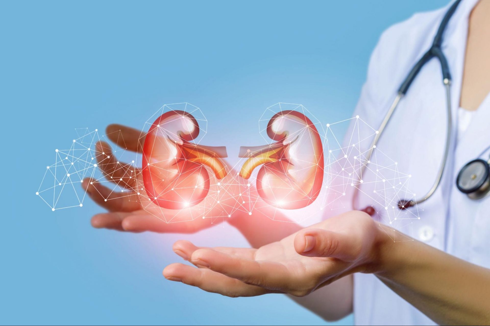 Difference Between Nephrology and Urology Durham Nephrology