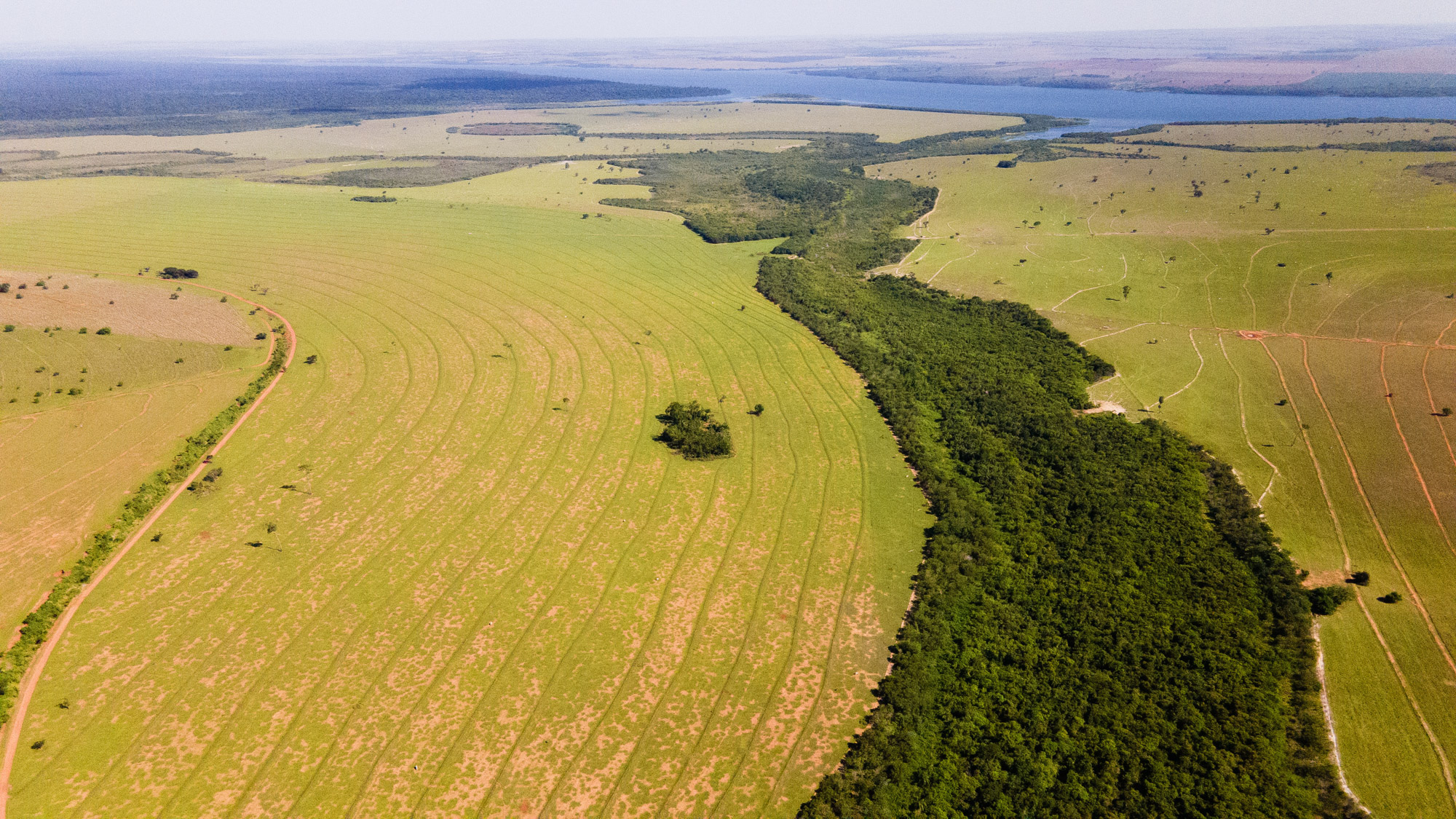 Rewild Carbon One year on Durrell