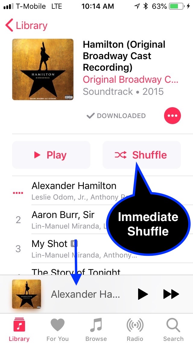 iTunes shuffle how to fix stuck on shuffle