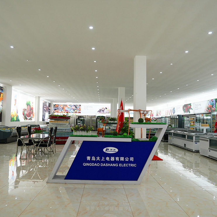 About Us Qingdao Dusung Refrigeration Co., Ltd.