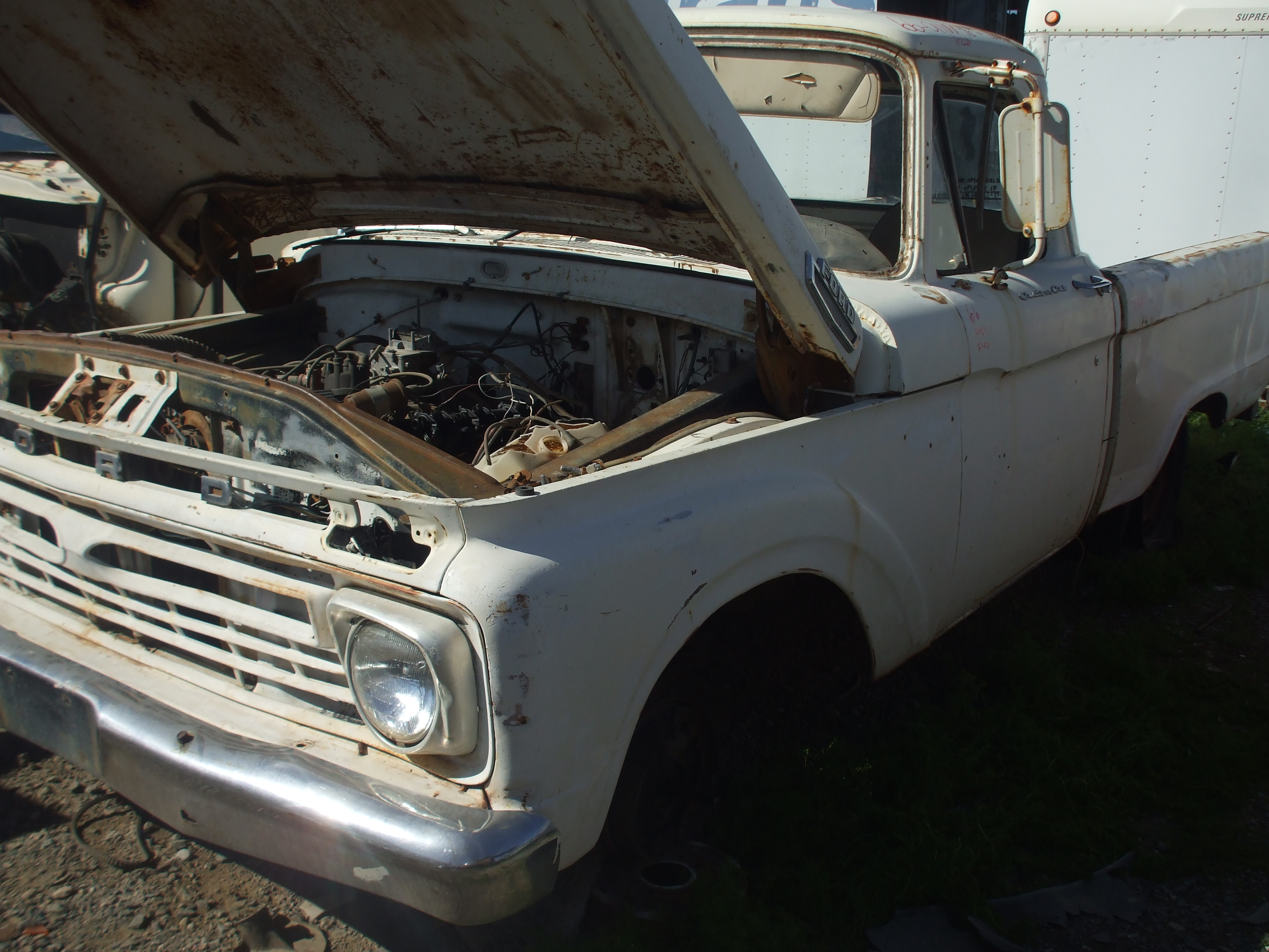 1966 Ford F100 (#66FO01NVD) | Desert Valley Auto Parts