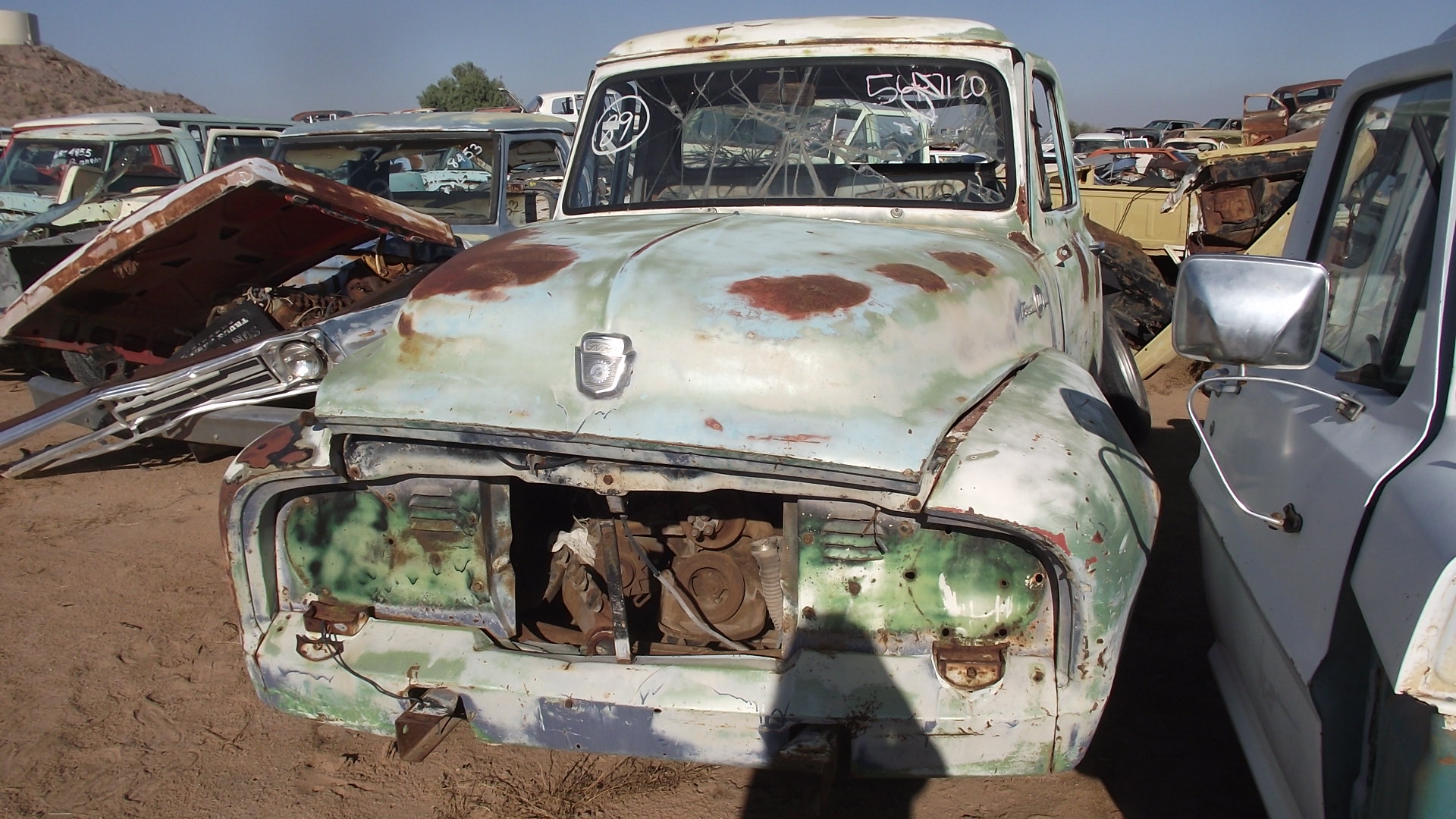 1954 Ford F100 (#54FO7120C) | Desert Valley Auto Parts