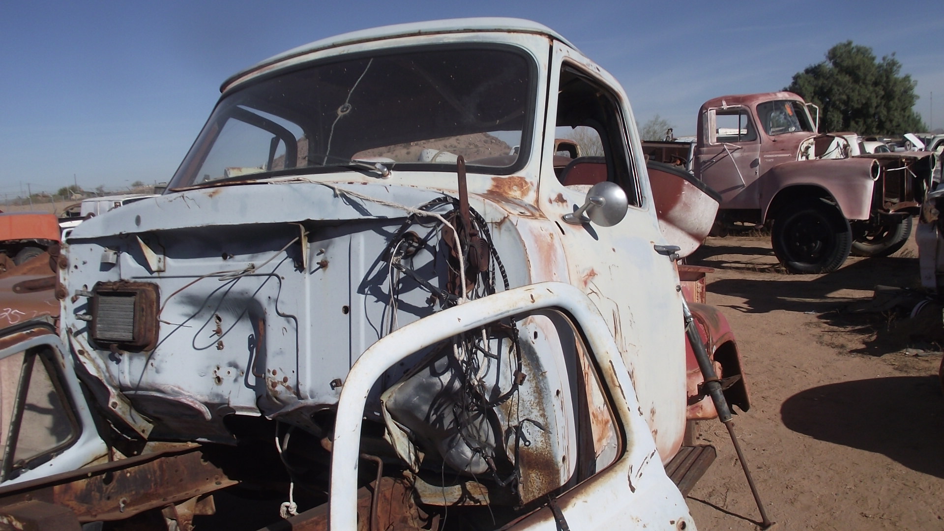 1955 Ford F100 (#55FO9836C) | Desert Valley Auto Parts