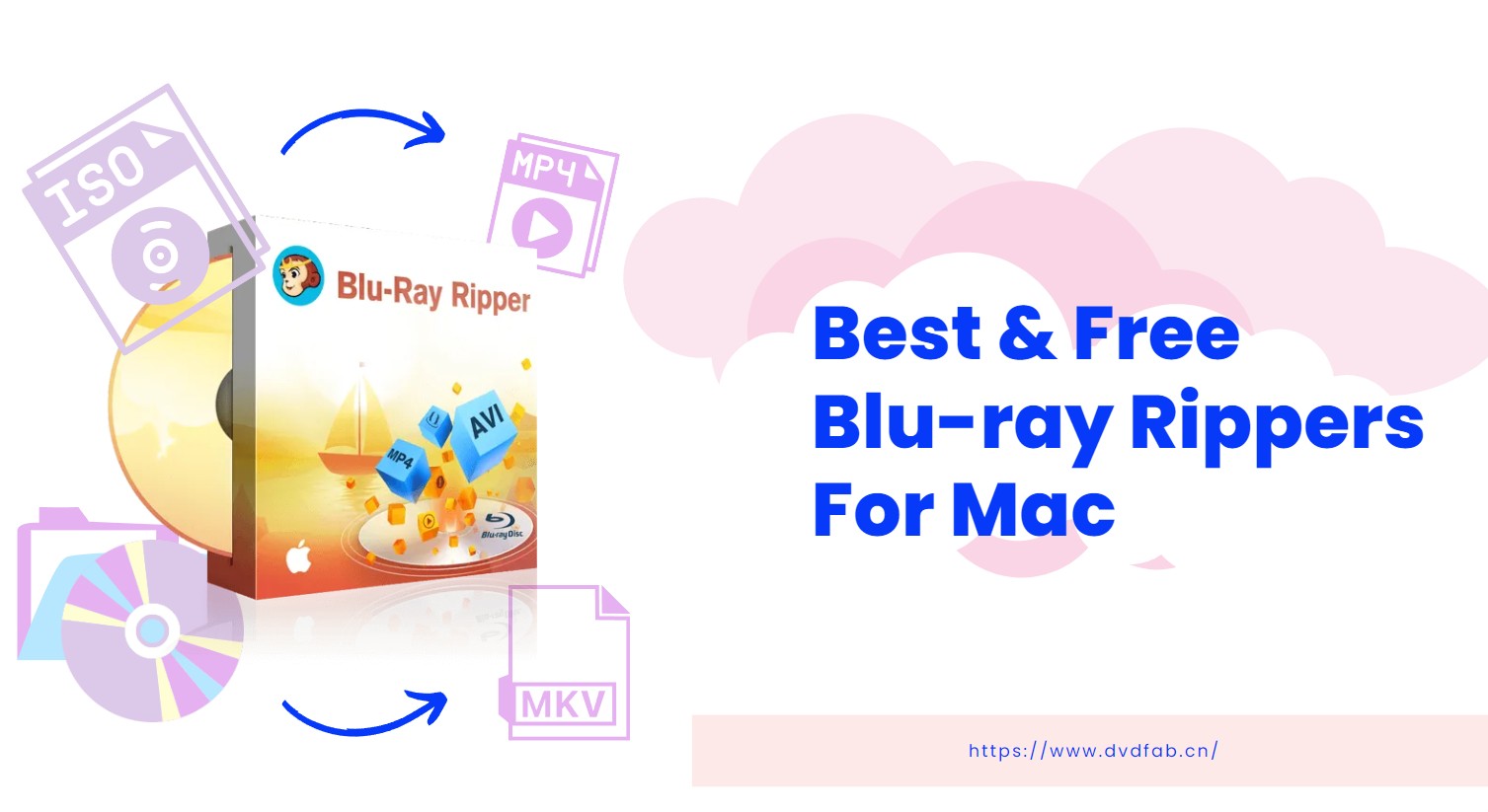 Top 6 Best Bluray Ripper for Mac in 2024 [Free and Paid]