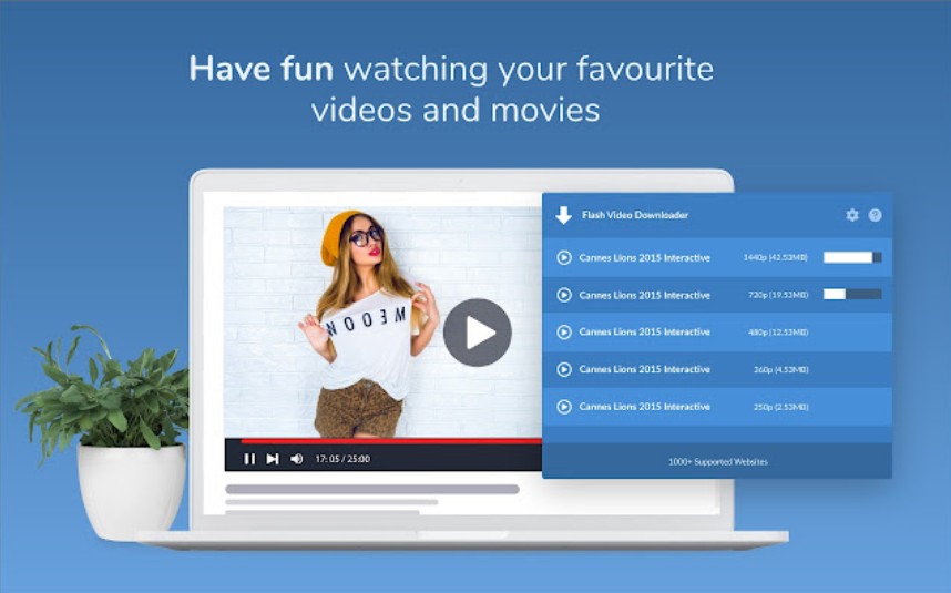 2024 Update Find the Best Flash Video Downloaders