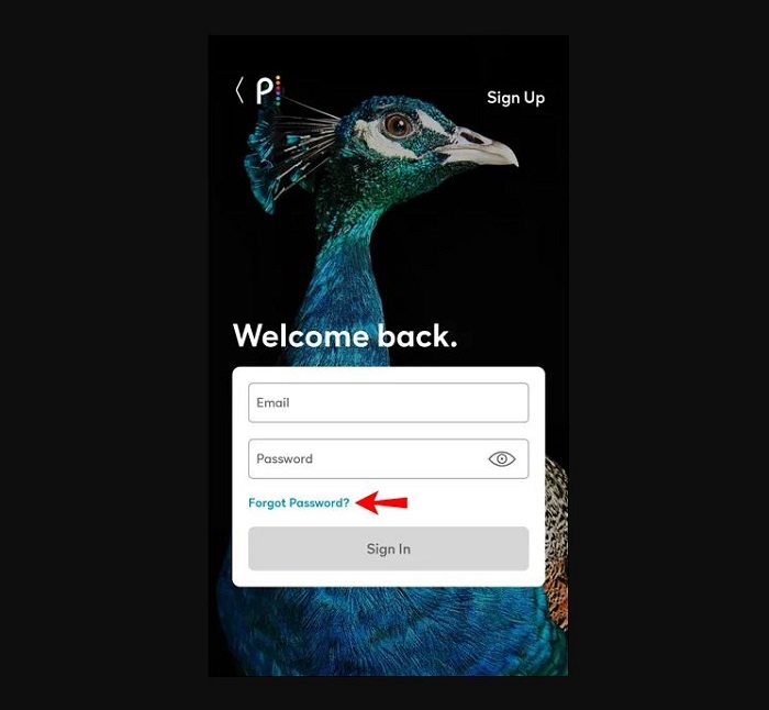 How to Reset Password on Different Devices?