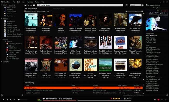 Top 5 Best Windows Music Players