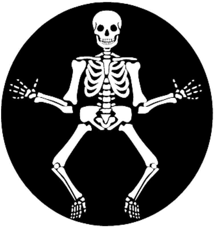 Woman tries to bring skeleton on plane « Dvorak News Blog