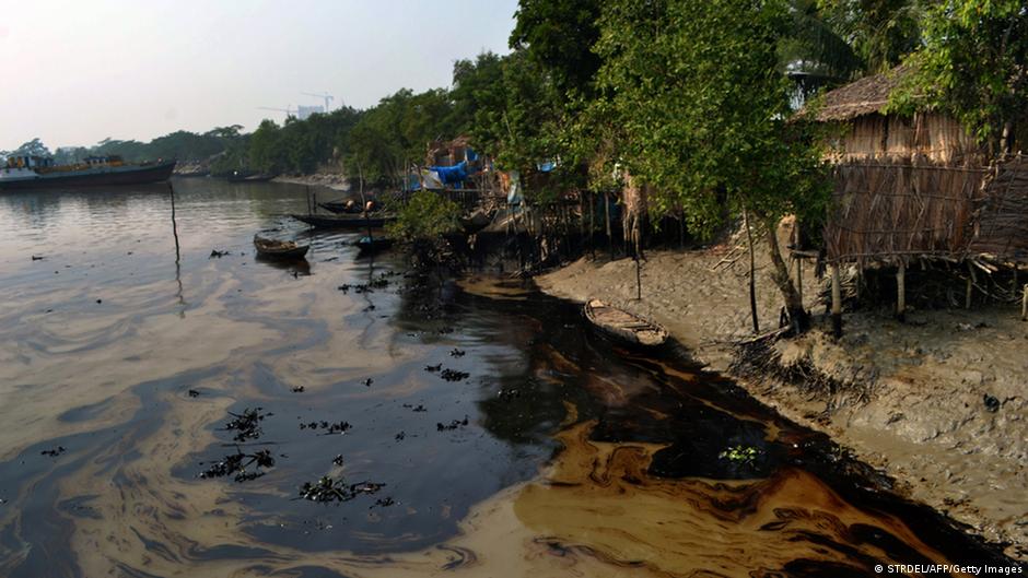 Assessing the oil spill′s impact on Bangladesh′s Sundarbans forest
