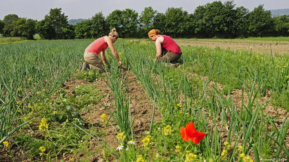 Why Germans are demanding a shift in agriculture Environment All