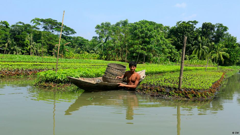 Bangladesh builds floating gardens to fight climate change All media