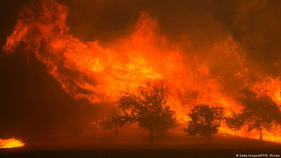 How climate change is increasing forest fires around the world