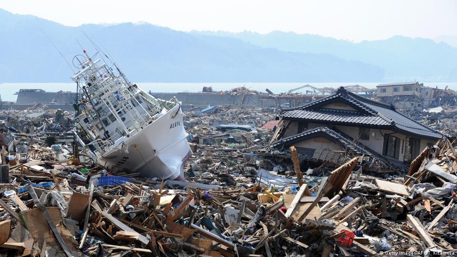 Tsunami carried Japanese animals to US Science Indepth reporting on
