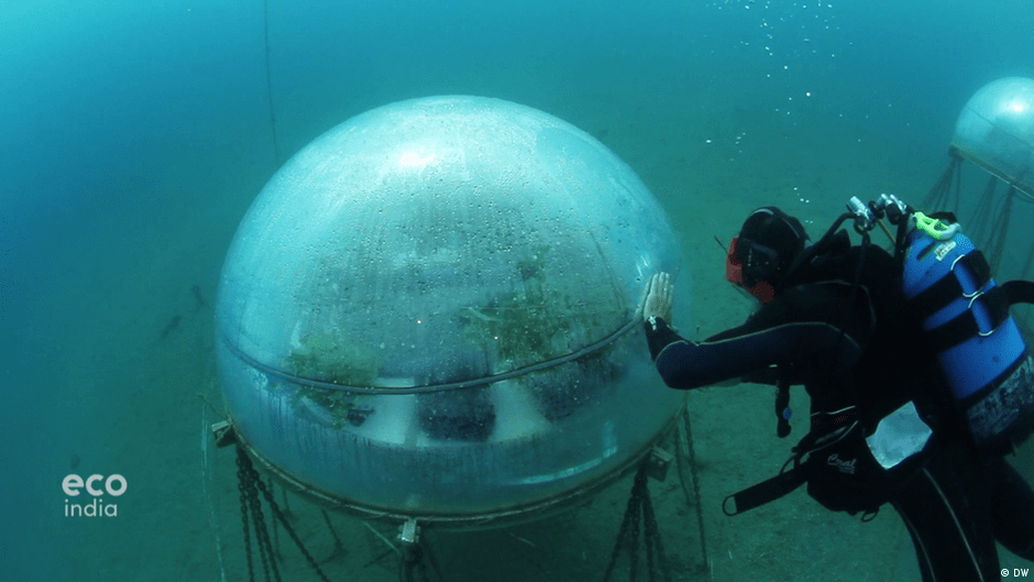 Underwater greenhouses in Nemo′s Garden Eco India DW 19.07.2019