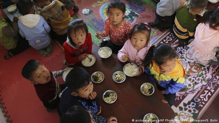 Un: 10 Million Face Hunger In North Korea | Dw News - Latest News And Breaking Stories | Dw | 03.05.2019
