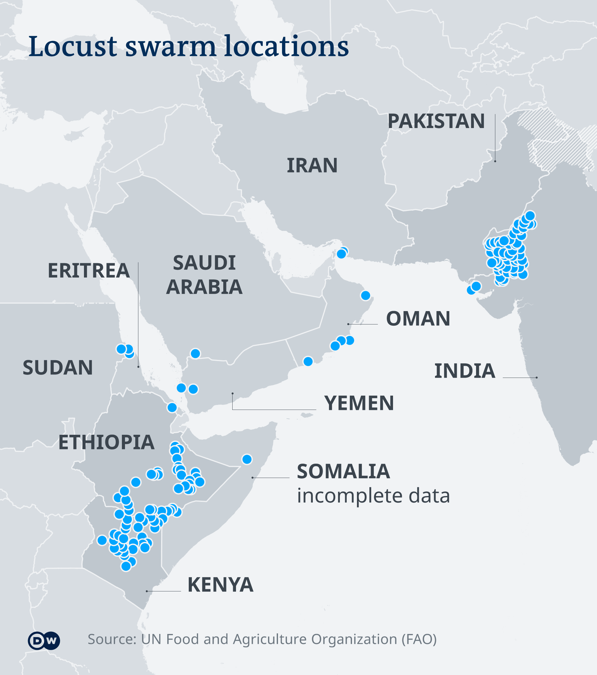 East Africa braces for more locusts Africa DW 19.02.2020