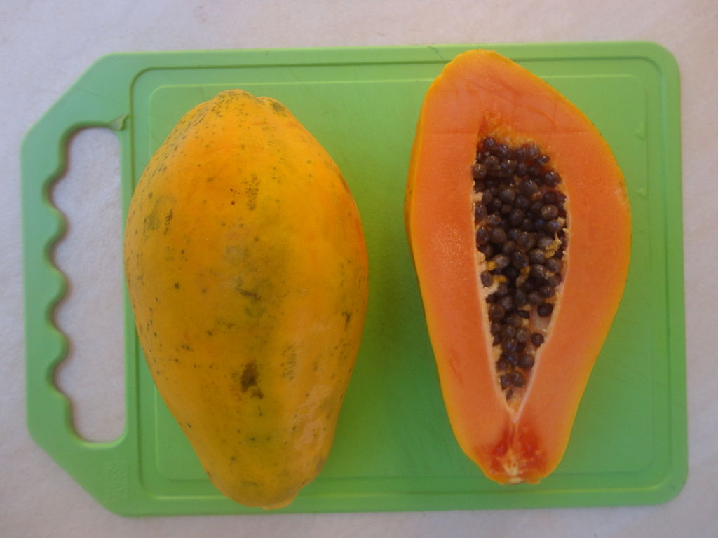 Papaya Schreibung, Definition, Bedeutung, Beispiele DWDS
