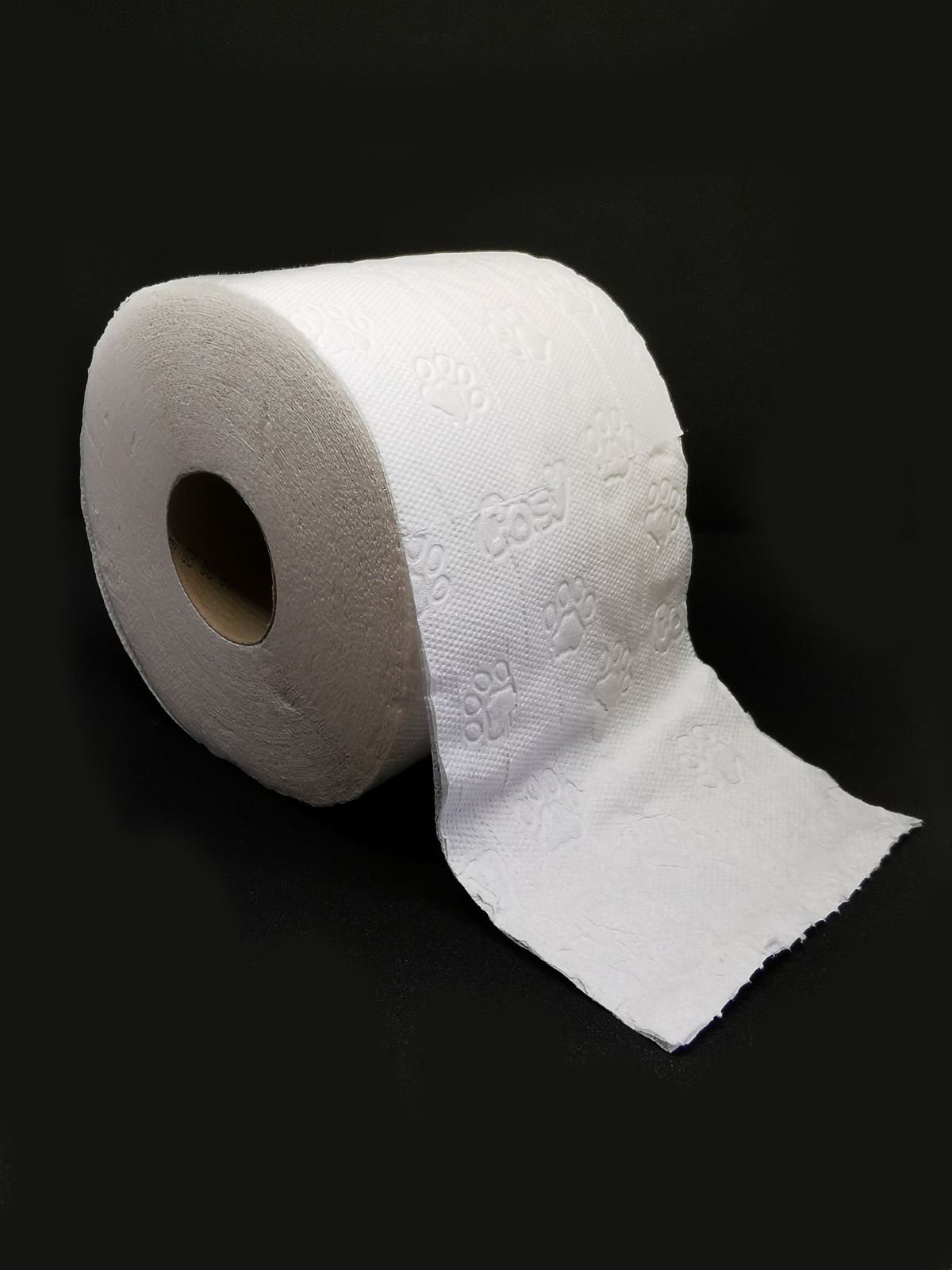 Toilettenpapier Schreibung, Definition, Bedeutung, Synonyme
