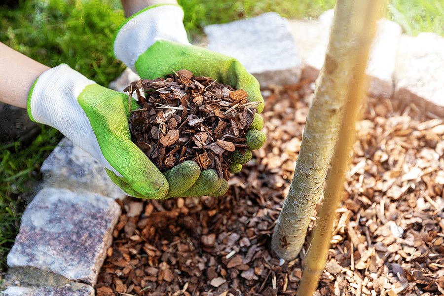 Professional Mulching Services in Englewood OH & Nearby Areas