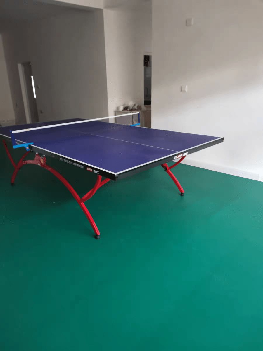 Table Tennis Court Dongxing Plastic Co., Ltd.