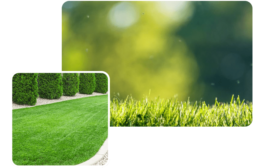 Expert Commercial Lawn Top Dressing in Wylie, TX DynaMist